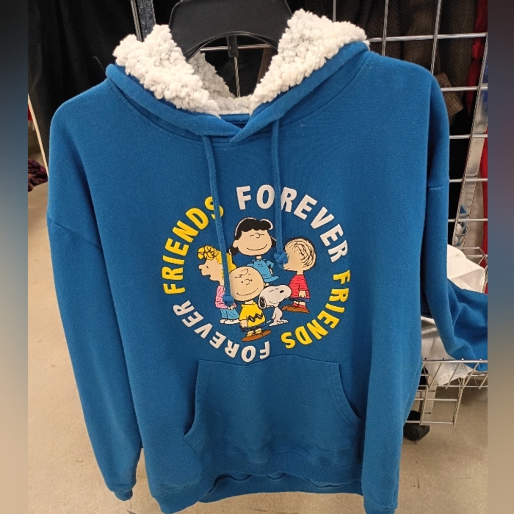 Peanuts Blue Sherpa-Lined Pullover Hoodie/ Graphic Print 2022 Peanuts Worldwide